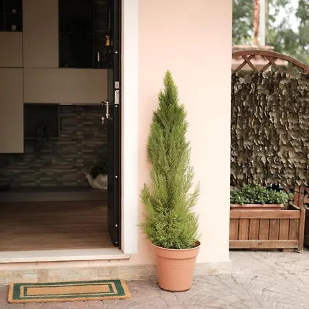 Casa Carlo *